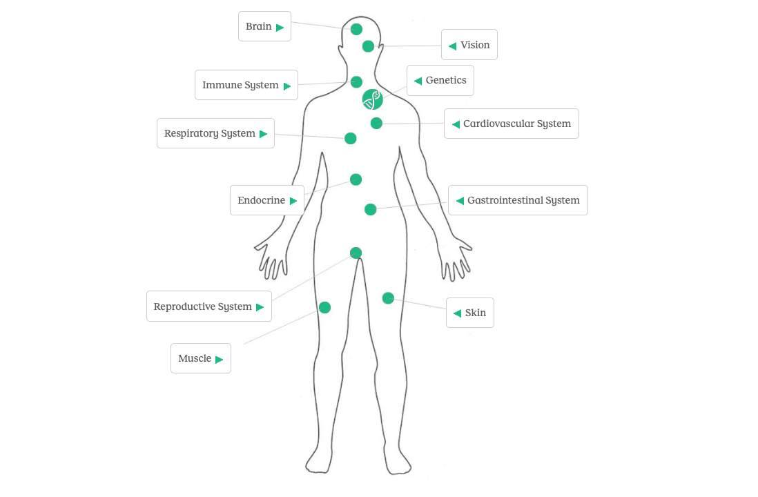 distrofie miotoniche schema corpo myotonic dystrophy